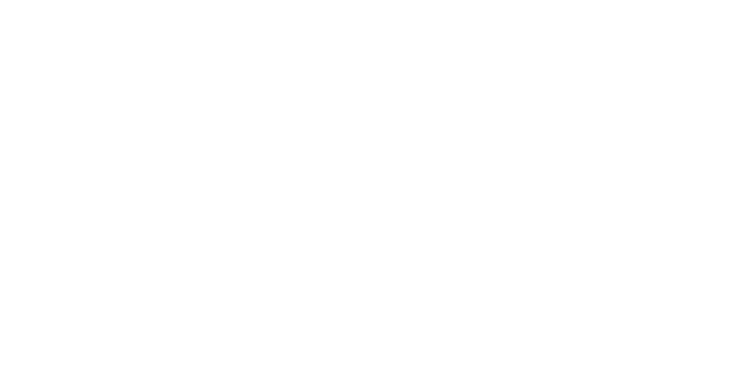 Birks Financial Group